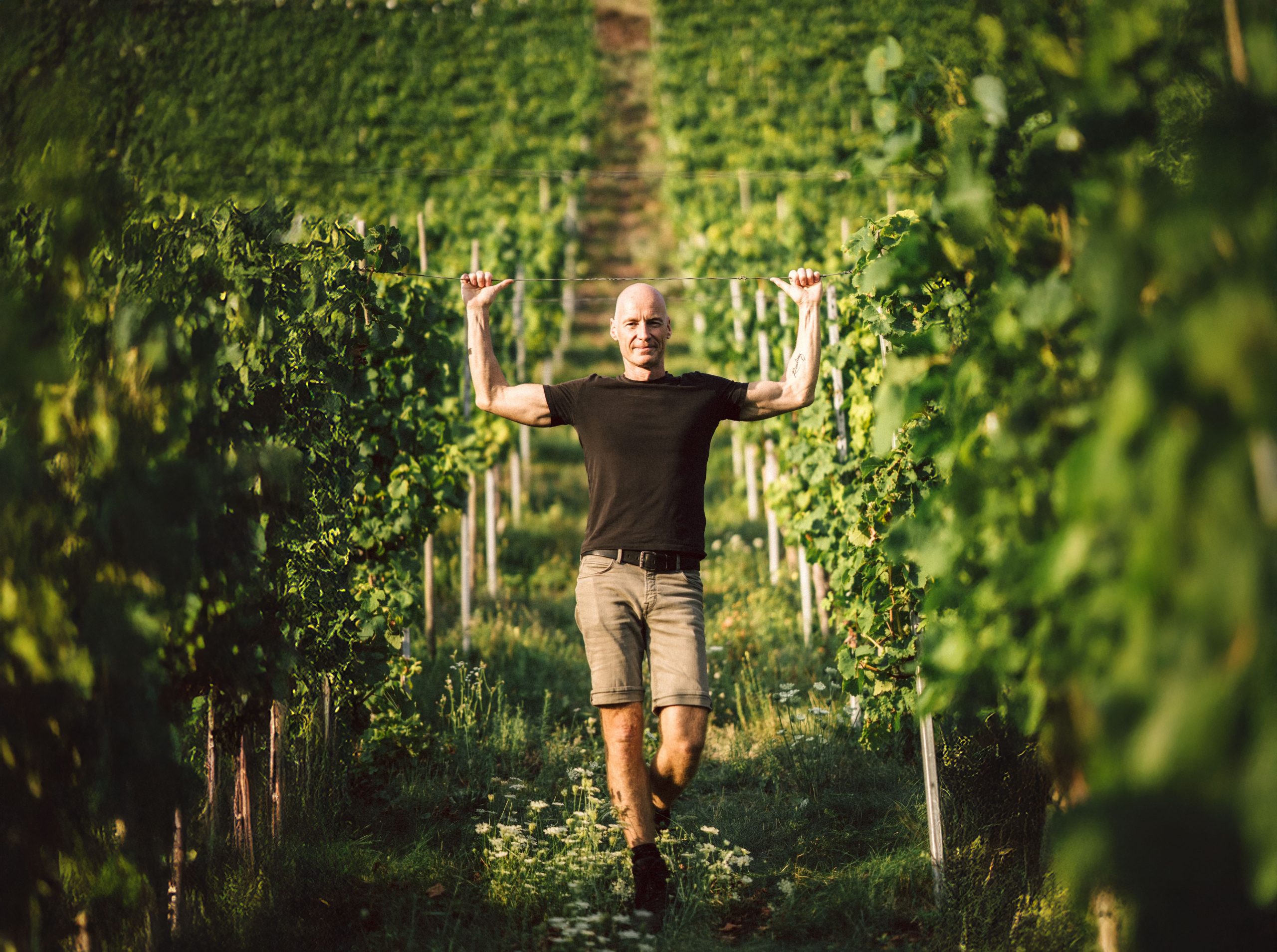 Winzer Thomas Henrichs zwischen Riesling-Steillagen Weinbergen an der Mosel